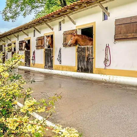 Casa Da Azenha - Quinta Do Boicao - Private Pool