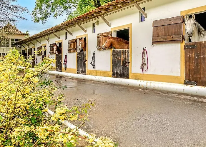 Casa Da Azenha - Quinta Do Boicao - Private Pool